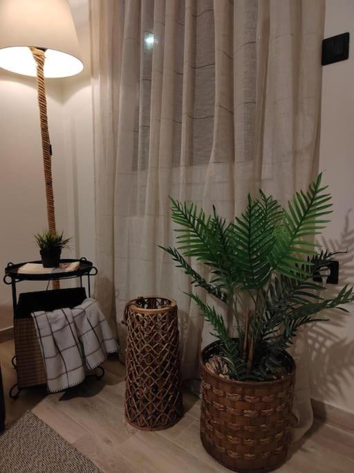 Cosy House With Garden Appartement Volos Buitenkant foto